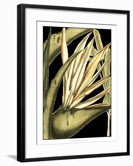 Tranquil Tropical Leaves III-Vision Studio-Framed Art Print