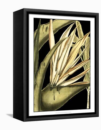 Tranquil Tropical Leaves III-Vision Studio-Framed Stretched Canvas