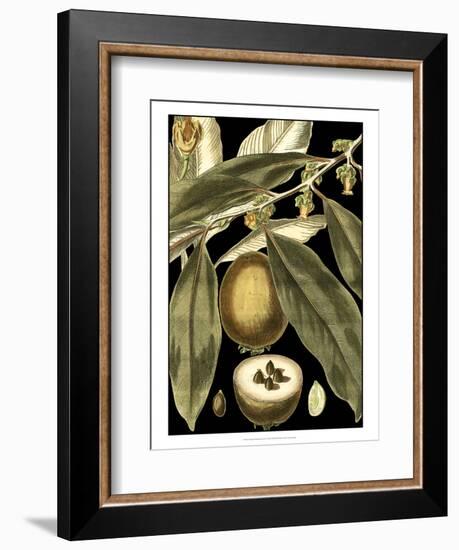 Tranquil Tropical Leaves IV-Vision Studio-Framed Art Print