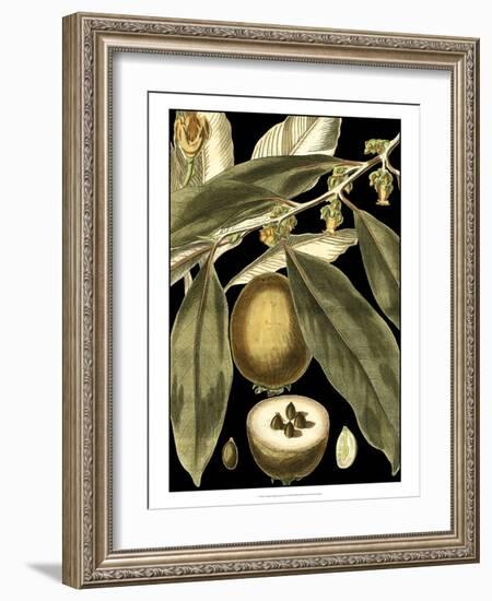 Tranquil Tropical Leaves IV-Vision Studio-Framed Art Print