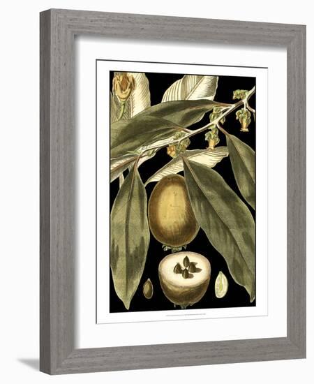 Tranquil Tropical Leaves IV-Vision Studio-Framed Art Print