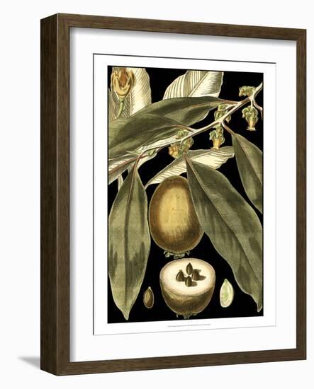 Tranquil Tropical Leaves IV-Vision Studio-Framed Art Print