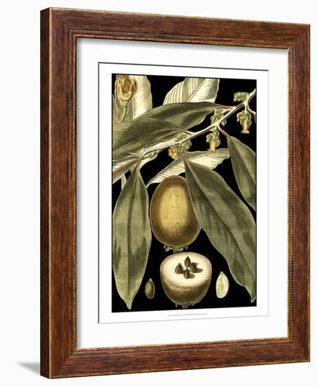 Tranquil Tropical Leaves IV-Vision Studio-Framed Art Print