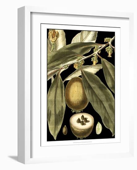 Tranquil Tropical Leaves IV-Vision Studio-Framed Art Print