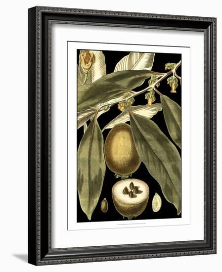 Tranquil Tropical Leaves IV-Vision Studio-Framed Art Print