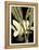 Tranquil Tropical Leaves V-Vision Studio-Framed Stretched Canvas