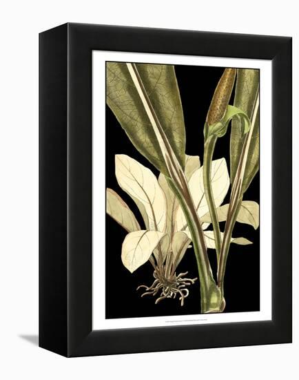 Tranquil Tropical Leaves V-Vision Studio-Framed Stretched Canvas