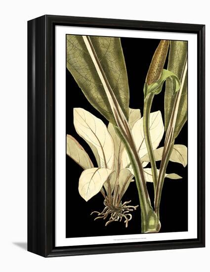 Tranquil Tropical Leaves V-Vision Studio-Framed Stretched Canvas