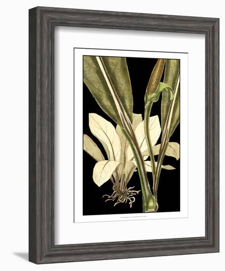 Tranquil Tropical Leaves V-Vision Studio-Framed Art Print