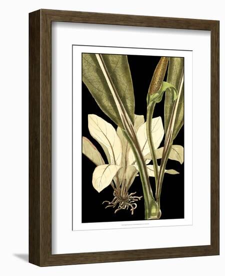 Tranquil Tropical Leaves V-Vision Studio-Framed Art Print