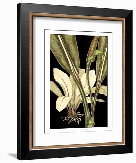 Tranquil Tropical Leaves V-Vision Studio-Framed Art Print