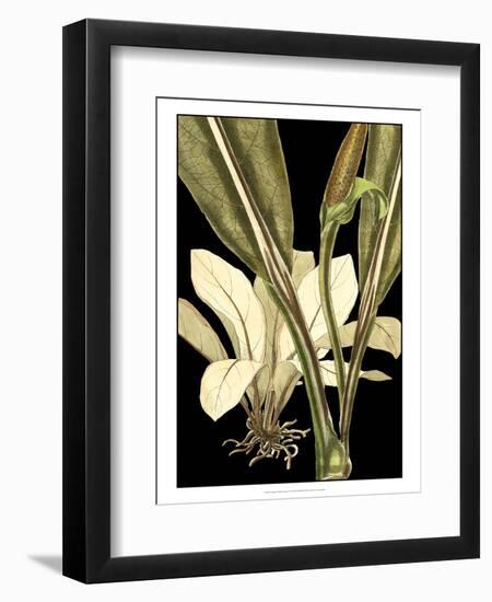 Tranquil Tropical Leaves V-Vision Studio-Framed Art Print