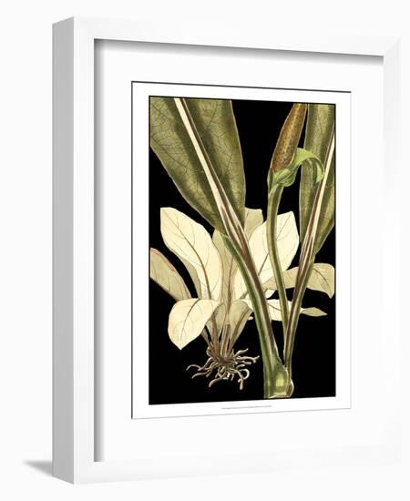 Tranquil Tropical Leaves V-Vision Studio-Framed Art Print