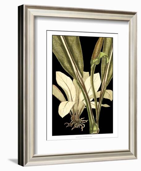 Tranquil Tropical Leaves V-Vision Studio-Framed Art Print