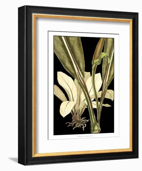 Tranquil Tropical Leaves V-Vision Studio-Framed Art Print