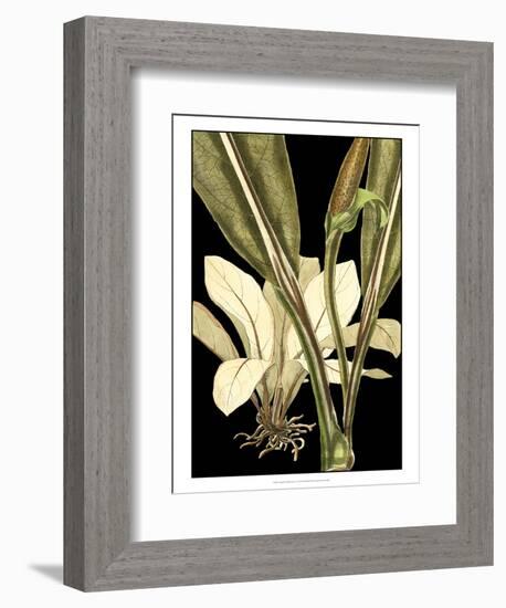 Tranquil Tropical Leaves V-Vision Studio-Framed Premium Giclee Print