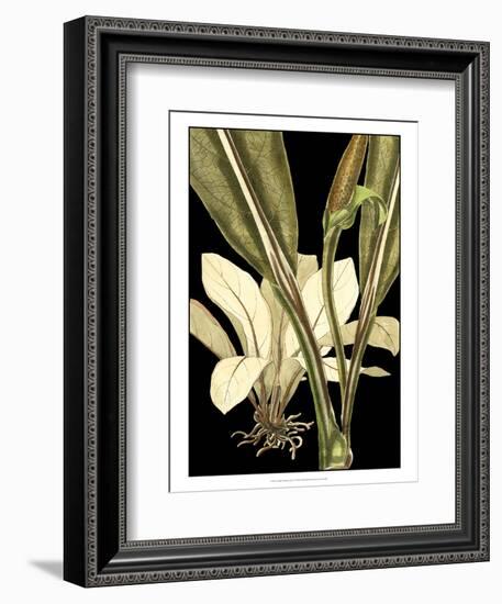 Tranquil Tropical Leaves V-Vision Studio-Framed Premium Giclee Print