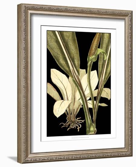 Tranquil Tropical Leaves V-Vision Studio-Framed Art Print