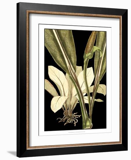 Tranquil Tropical Leaves V-Vision Studio-Framed Art Print