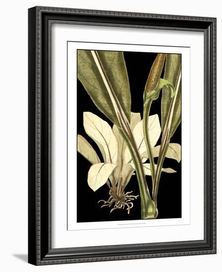 Tranquil Tropical Leaves V-Vision Studio-Framed Art Print