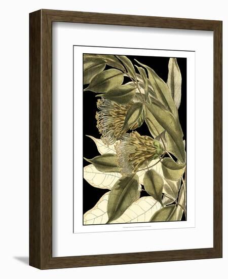 Tranquil Tropical Leaves VI-Vision Studio-Framed Premium Giclee Print