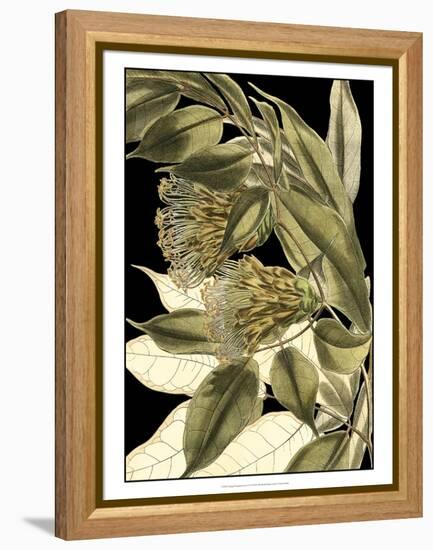 Tranquil Tropical Leaves VI-Vision Studio-Framed Stretched Canvas