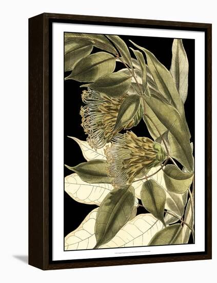 Tranquil Tropical Leaves VI-Vision Studio-Framed Stretched Canvas