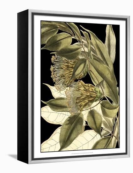 Tranquil Tropical Leaves VI-Vision Studio-Framed Stretched Canvas