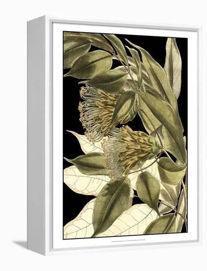 Tranquil Tropical Leaves VI-Vision Studio-Framed Stretched Canvas