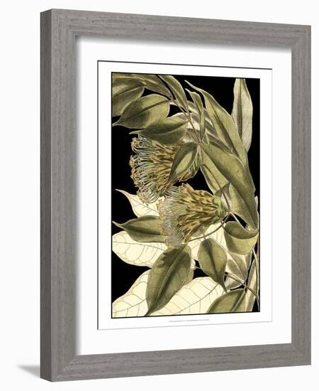 Tranquil Tropical Leaves VI-Vision Studio-Framed Art Print