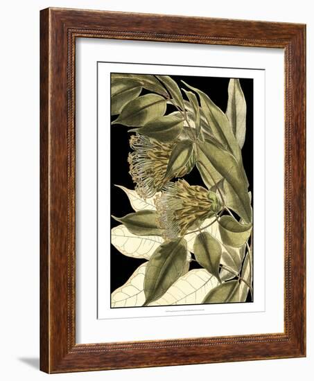 Tranquil Tropical Leaves VI-Vision Studio-Framed Art Print