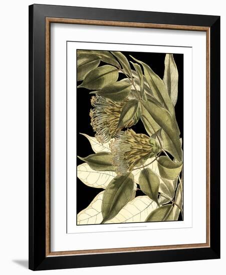 Tranquil Tropical Leaves VI-Vision Studio-Framed Art Print