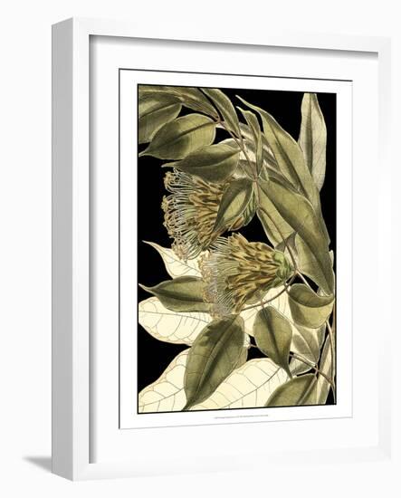 Tranquil Tropical Leaves VI-Vision Studio-Framed Art Print