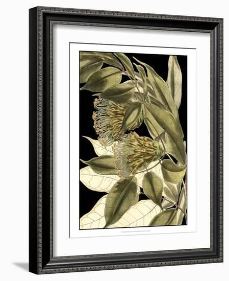 Tranquil Tropical Leaves VI-Vision Studio-Framed Art Print