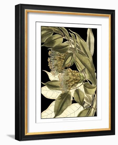 Tranquil Tropical Leaves VI-Vision Studio-Framed Art Print