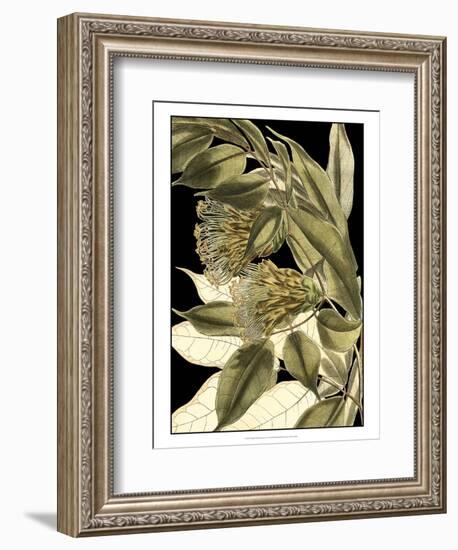 Tranquil Tropical Leaves VI-Vision Studio-Framed Art Print