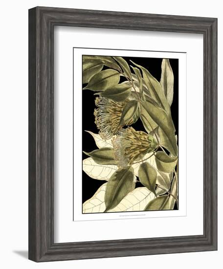 Tranquil Tropical Leaves VI-Vision Studio-Framed Art Print