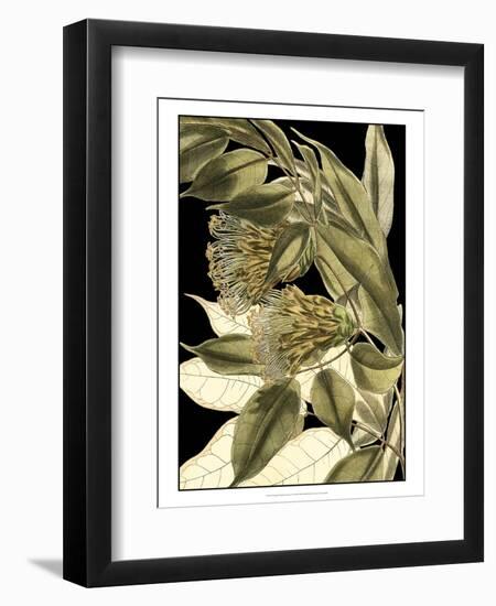 Tranquil Tropical Leaves VI-Vision Studio-Framed Art Print