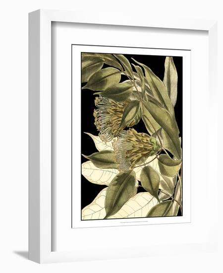 Tranquil Tropical Leaves VI-Vision Studio-Framed Art Print