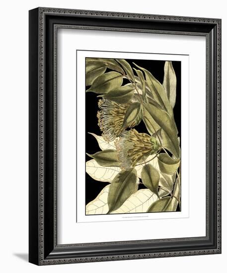 Tranquil Tropical Leaves VI-Vision Studio-Framed Art Print