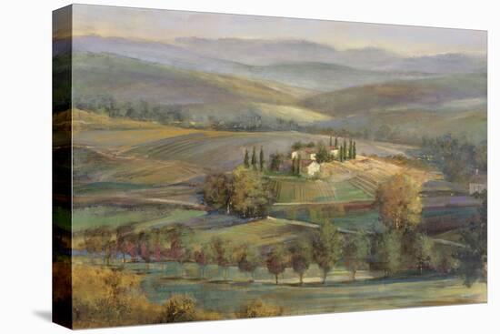 Tranquil Tuscany-Longo-Framed Stretched Canvas