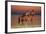 Tranquil Waters-Bob Langrish-Framed Photographic Print