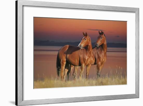 Tranquil Waters-Bob Langrish-Framed Photographic Print