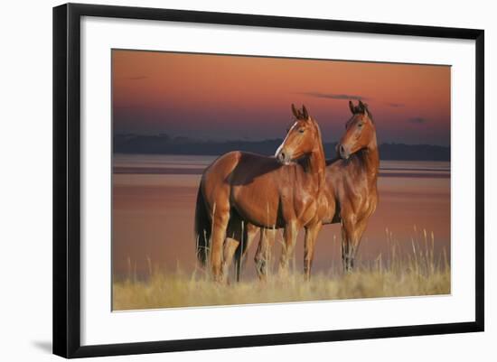 Tranquil Waters-Bob Langrish-Framed Photographic Print