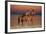 Tranquil Waters-Bob Langrish-Framed Photographic Print