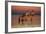 Tranquil Waters-Bob Langrish-Framed Photographic Print