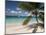 Tranquil White Sand Beach, St John, United States Virgin Islands, USA, US Virgin Islands, Caribbean-Trish Drury-Mounted Photographic Print