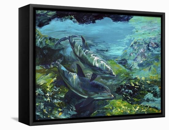 Tranquility Atlantic Bottlenose Dolphins-Lucy P. McTier-Framed Premier Image Canvas