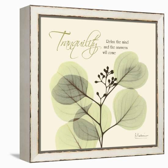 Tranquility Eucalyptus-Albert Koetsier-Framed Stretched Canvas