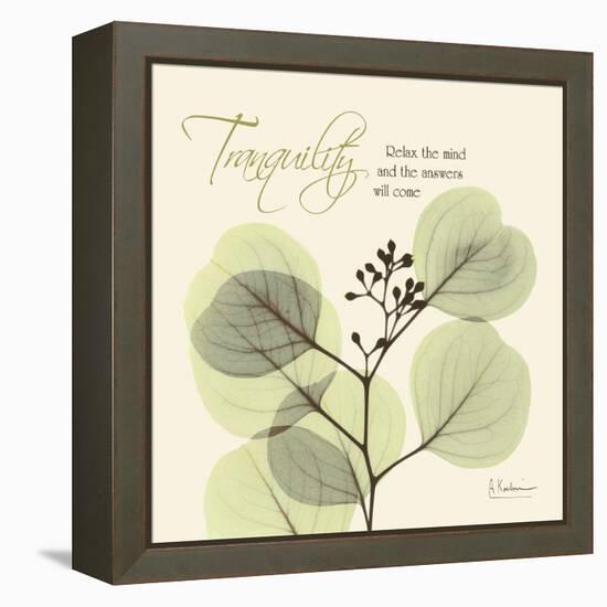 Tranquility Eucalyptus-Albert Koetsier-Framed Stretched Canvas